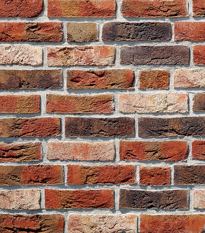 612 Röben Tonbaustoffe Dykbrand flämisch-bunt