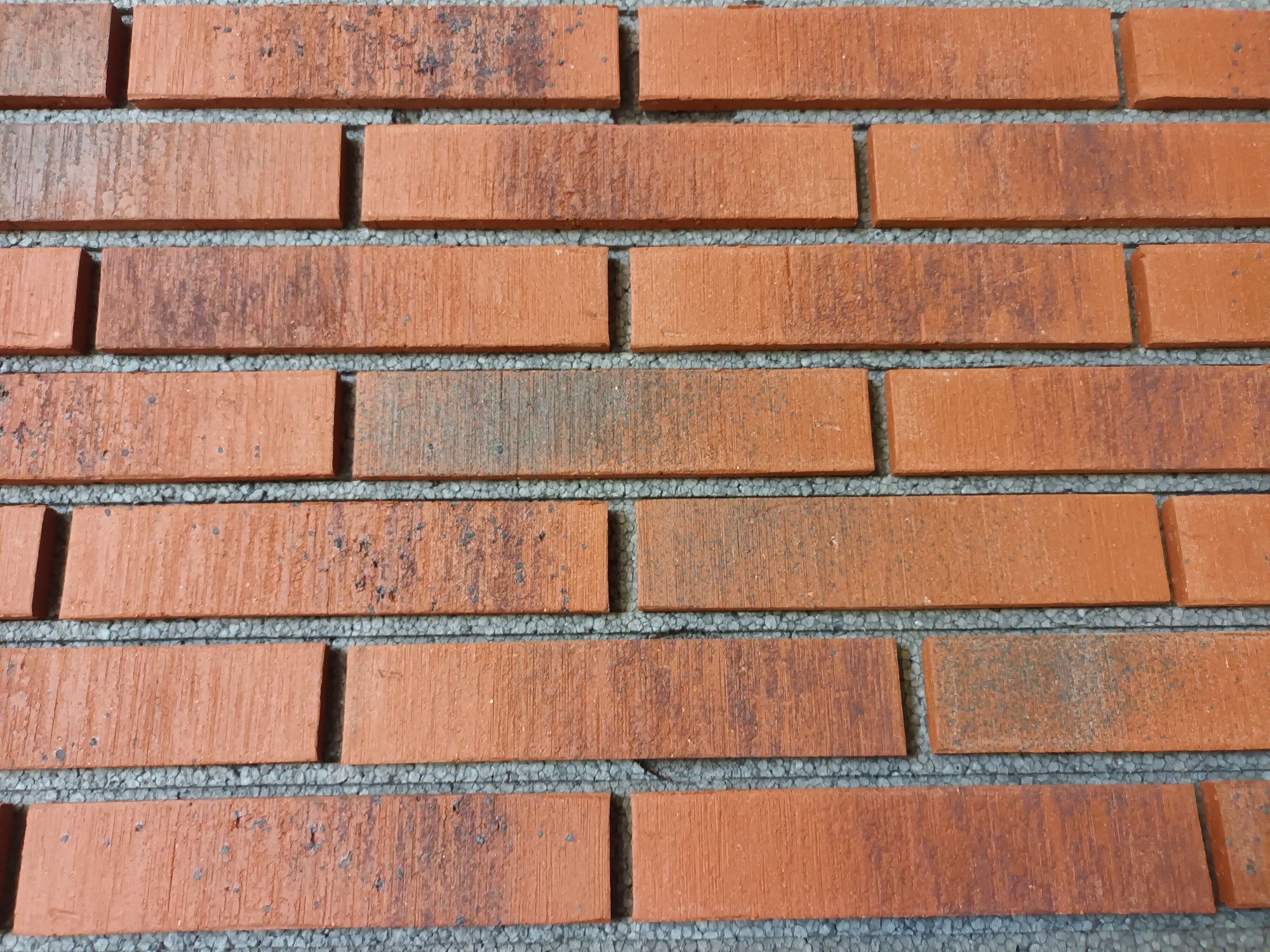 754 Feldhaus Klinker Riemchen Vascu Carmesi Carbo