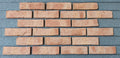610 Röben Tonbaustoffe Moorbrand lehm-bunt