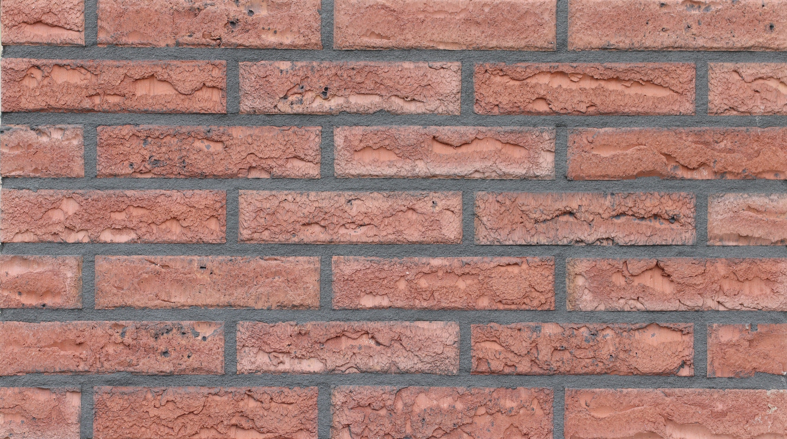 810 Celina Klinker Bochum