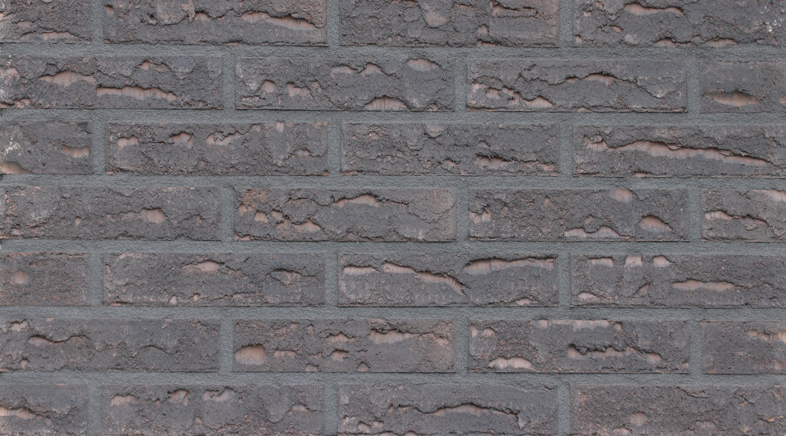 816 Celina Klinker Magdeburg