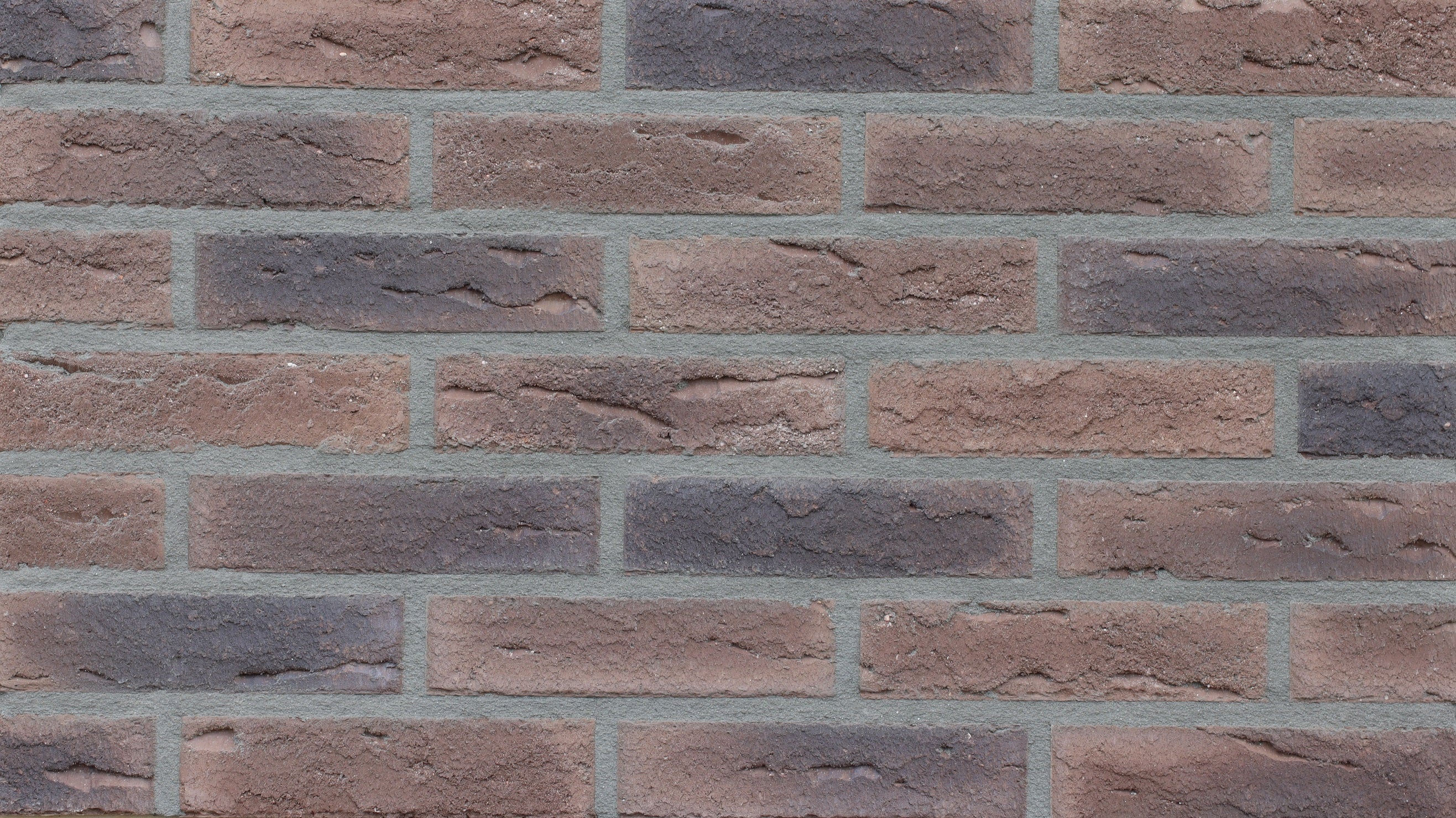 817 Celina Klinker Schwerin