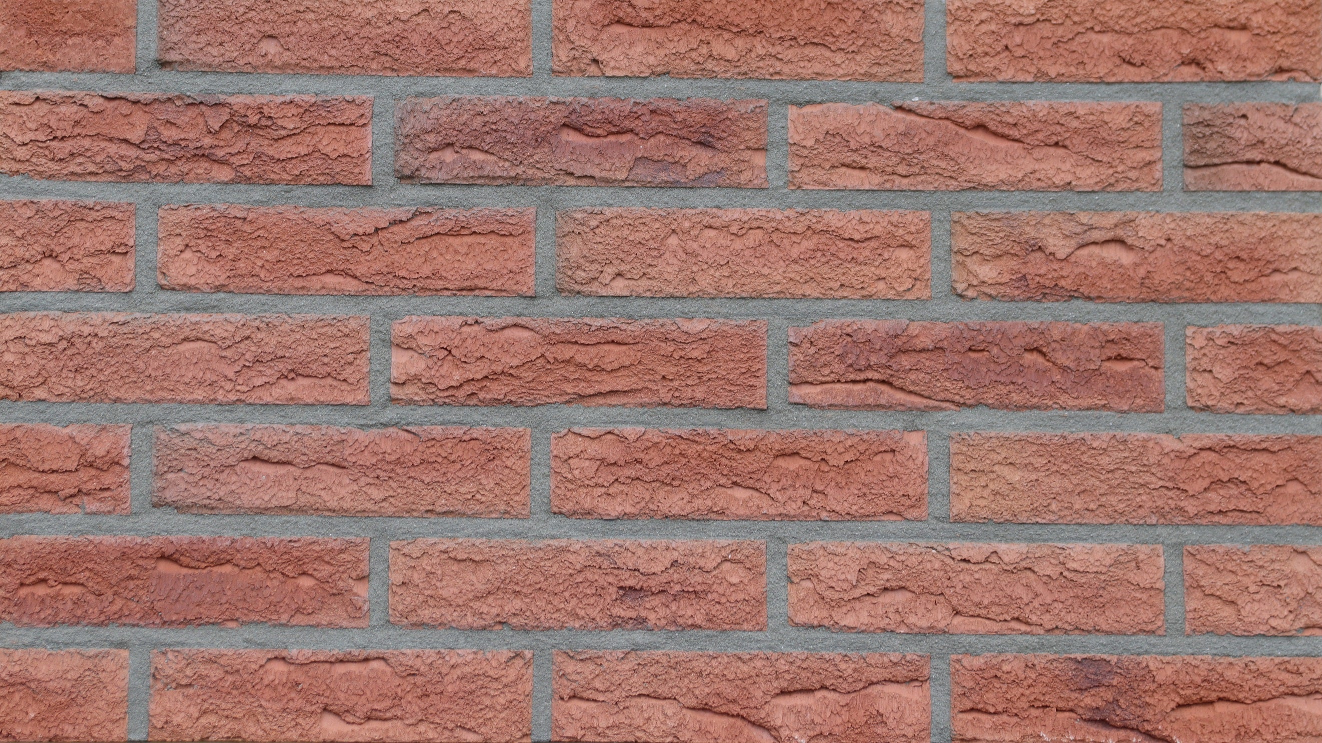 815 Celina Klinker Görlitz