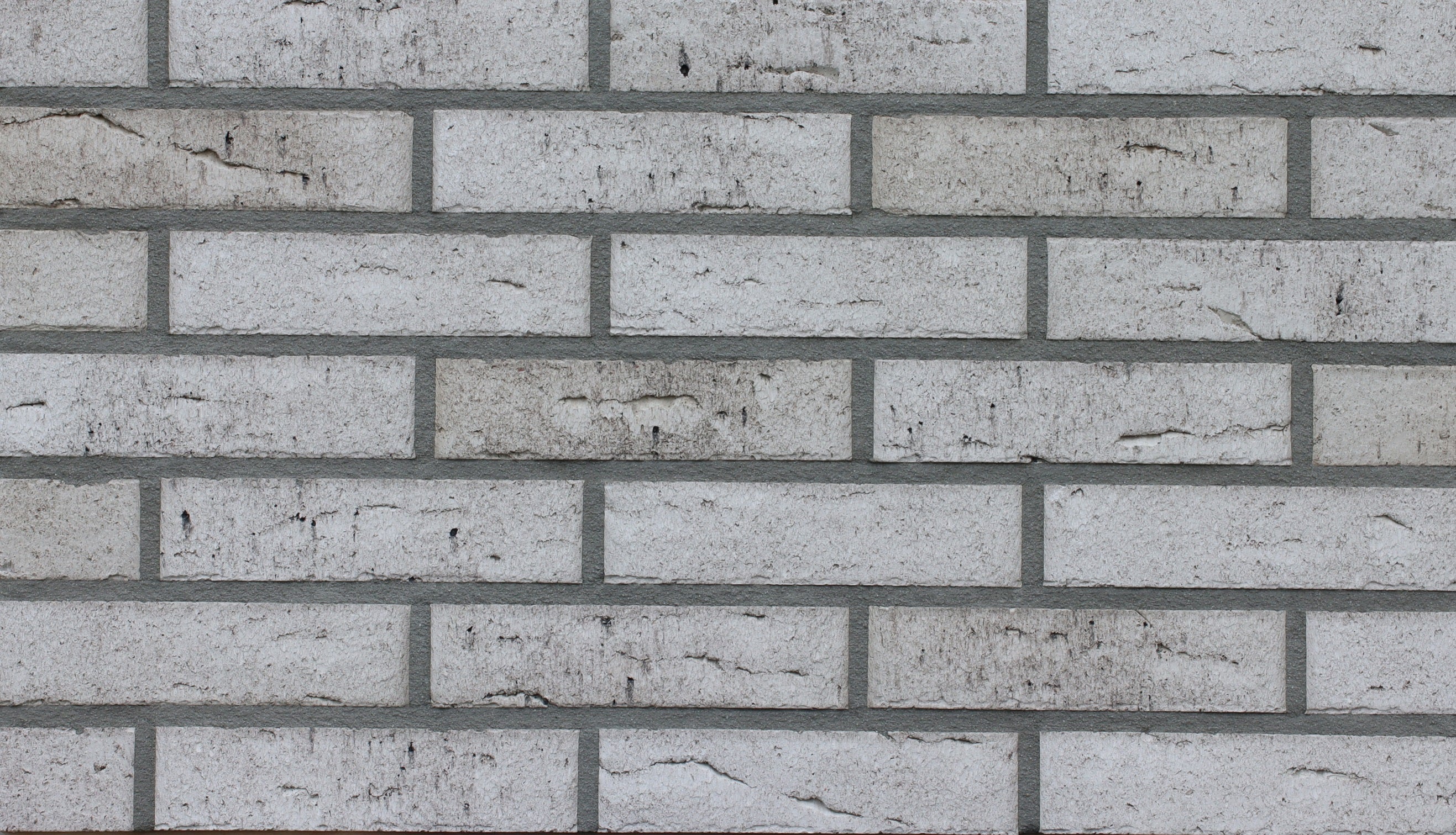 811 Celina Klinker Norddeich