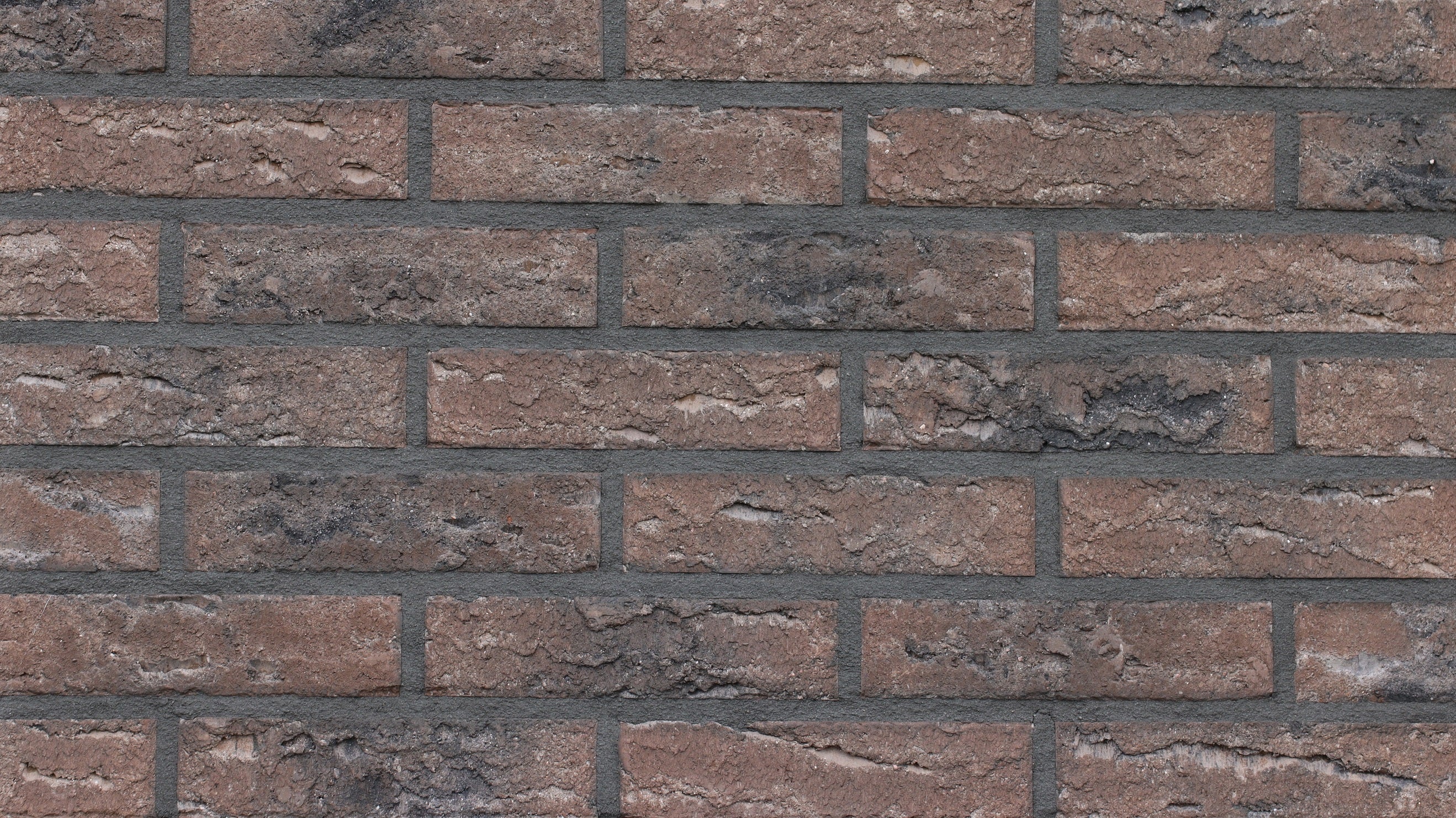 818 Celina Klinker Eisenach