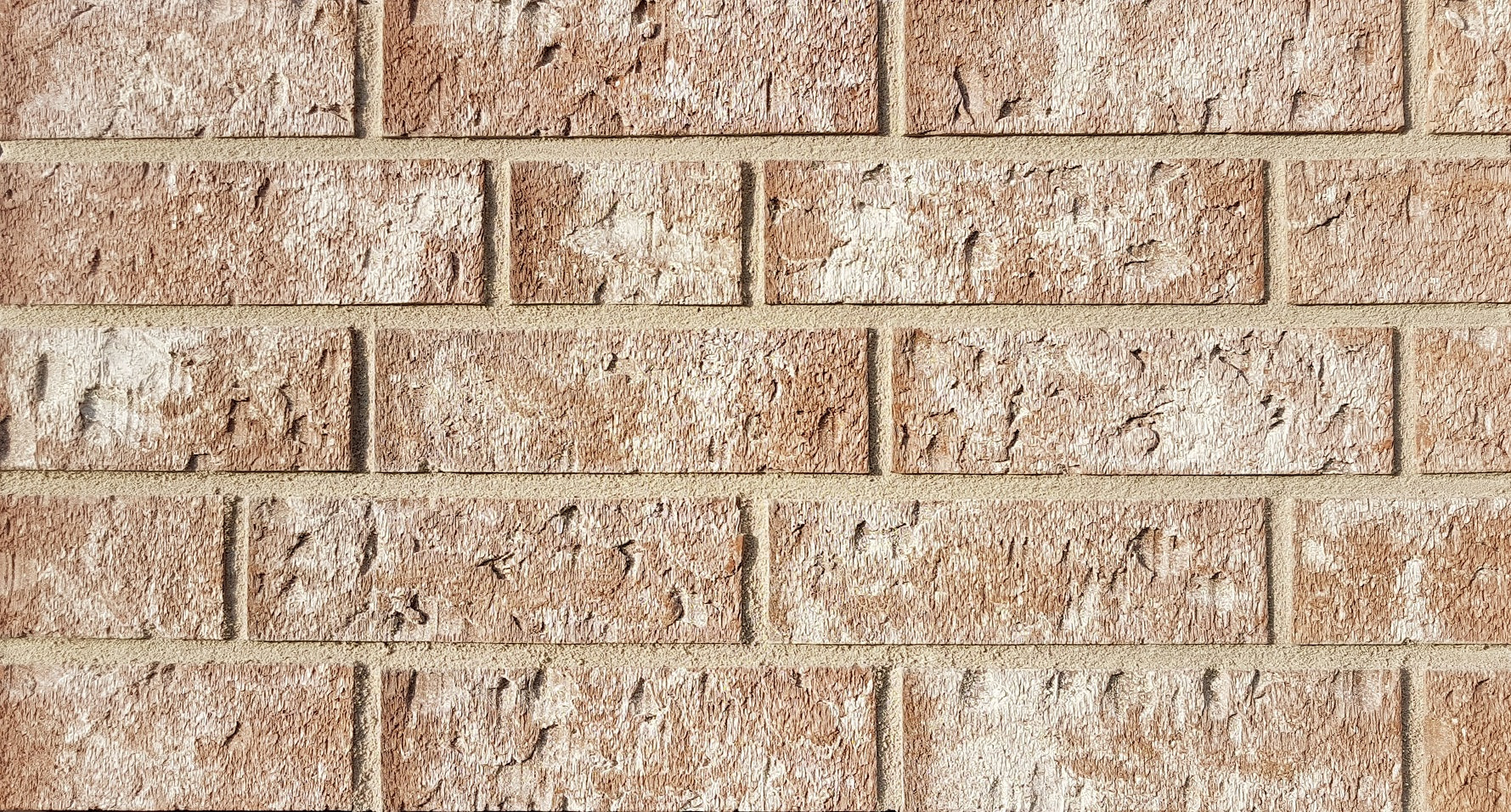 831 Celina Klinker Potsdam