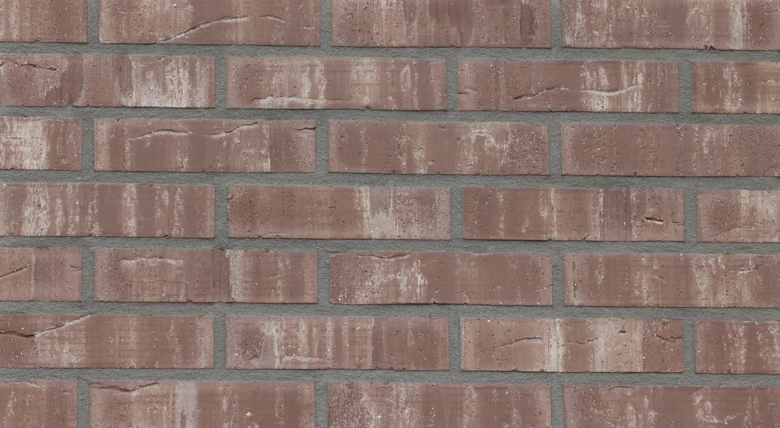 814 Celina Klinker Leipzig